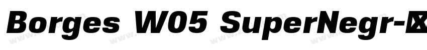 Borges W05 SuperNegr字体转换 Borges W05 SuperNegr字体转换